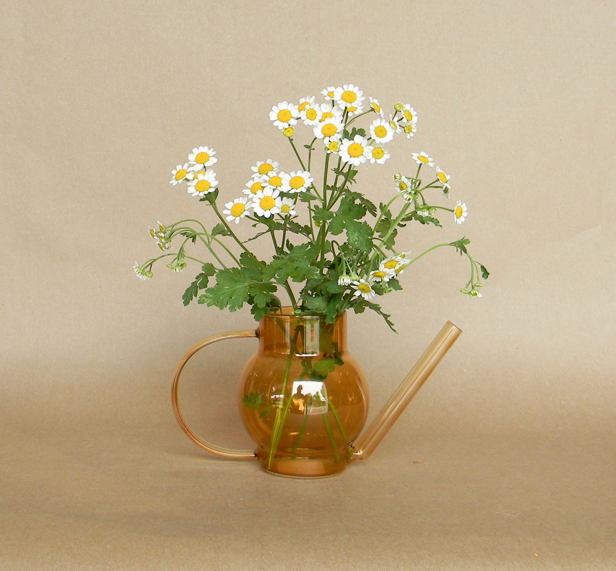 pequeno watering can shop now at flower + furbishGift, shipping, vase, vessel, Watering can
