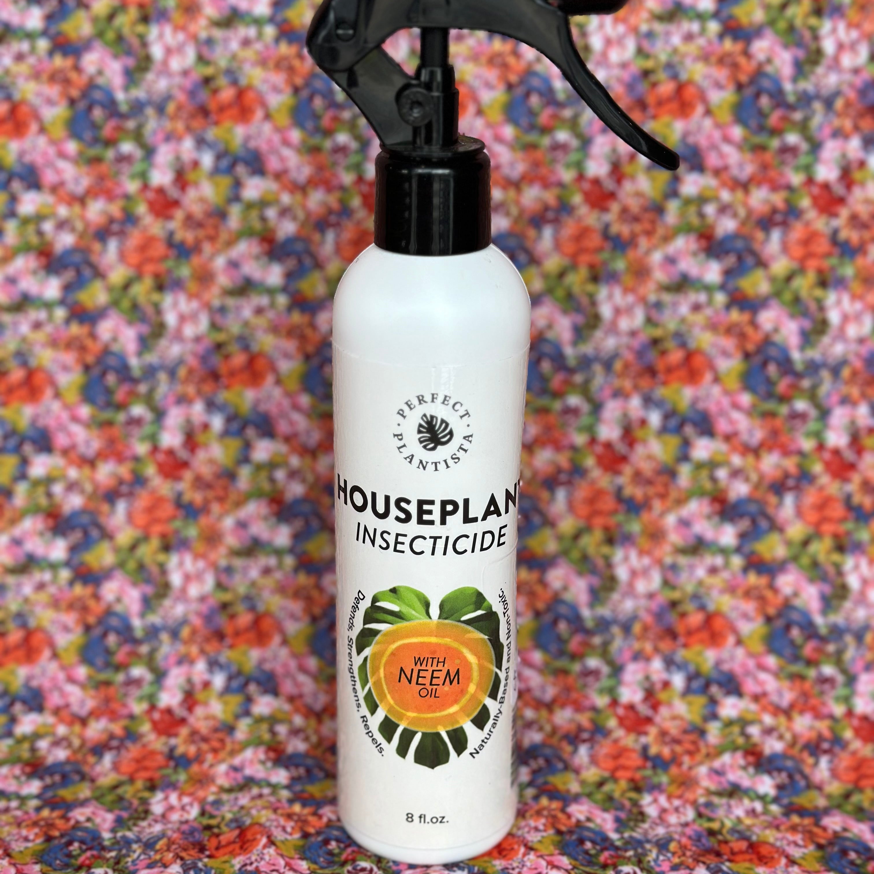 house plant pesticide spray perfect plantista natural houseplant insecticide