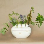 petunia budvase shop now at flower + furbish