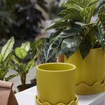 pissarro pot plant pot from flower + furbish Shop now at flower + furbish