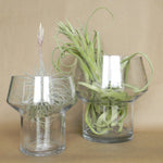 reservoir terrarium shop now at flower + furbish