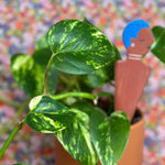 be you plant stick plant stick from flower + furbish Shop now at flower + furbish
