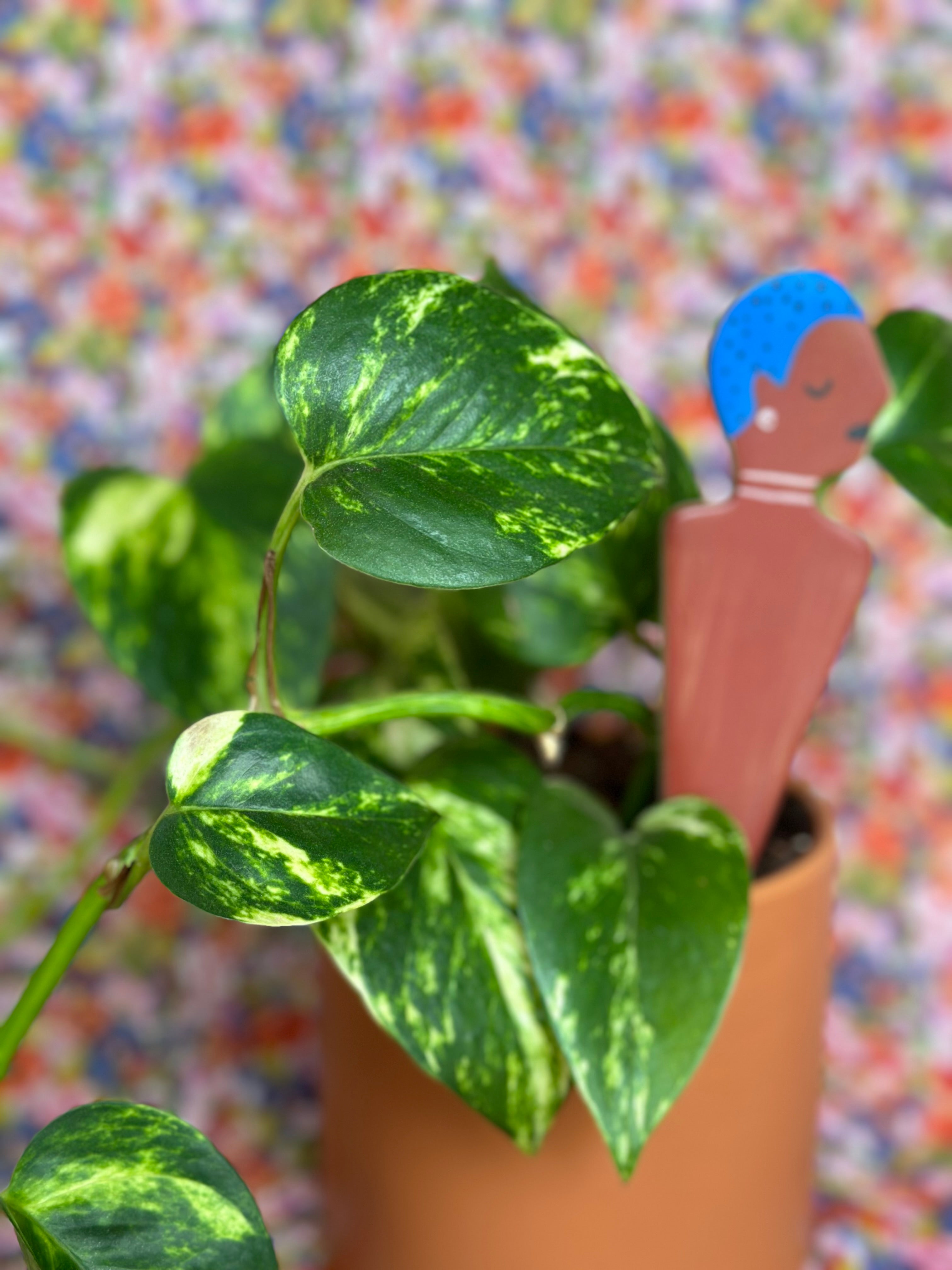 be you plant stick plant stick from flower + furbish Shop now at flower + furbish