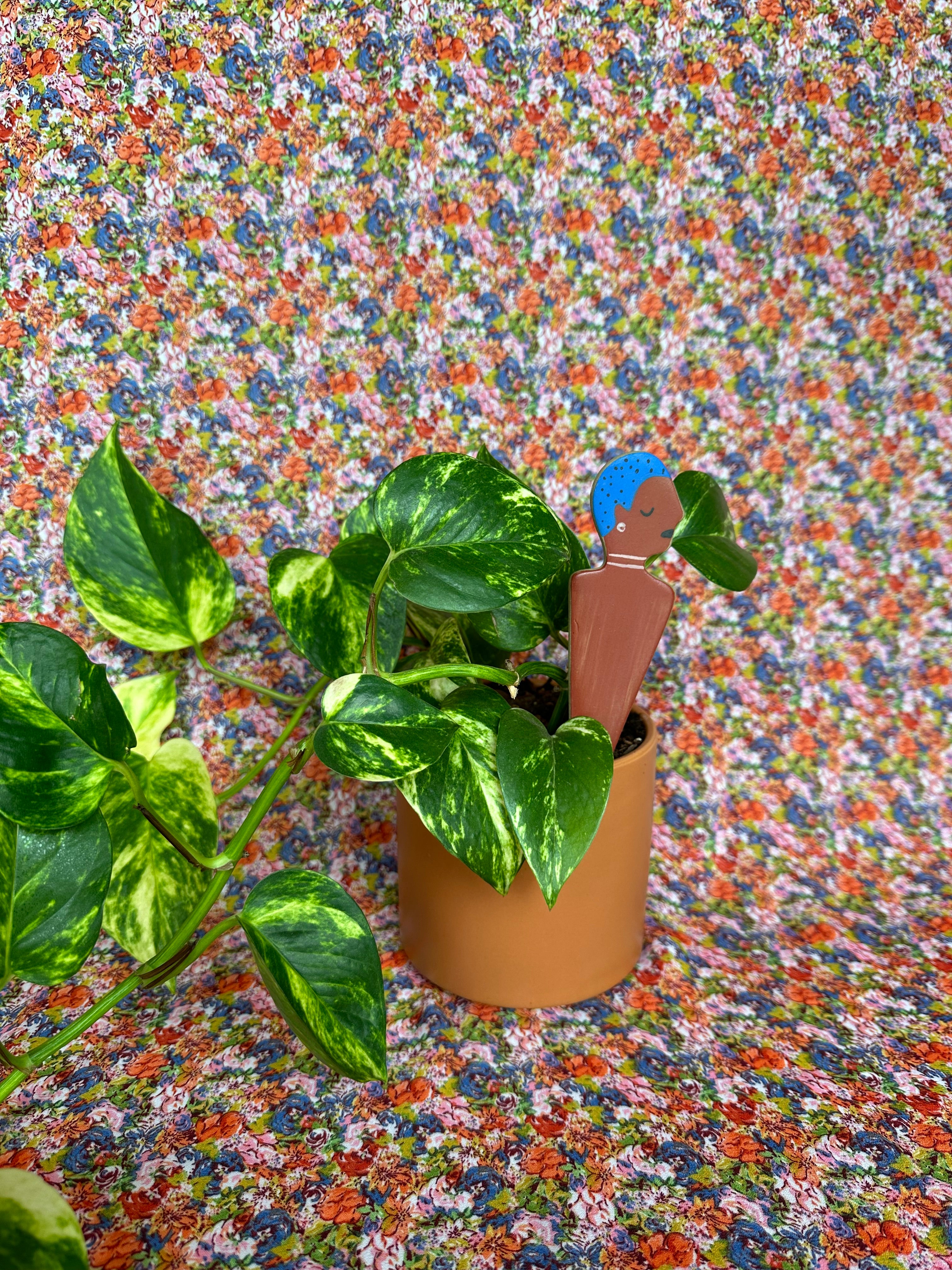 be you plant stick plant stick from flower + furbish Shop now at flower + furbish