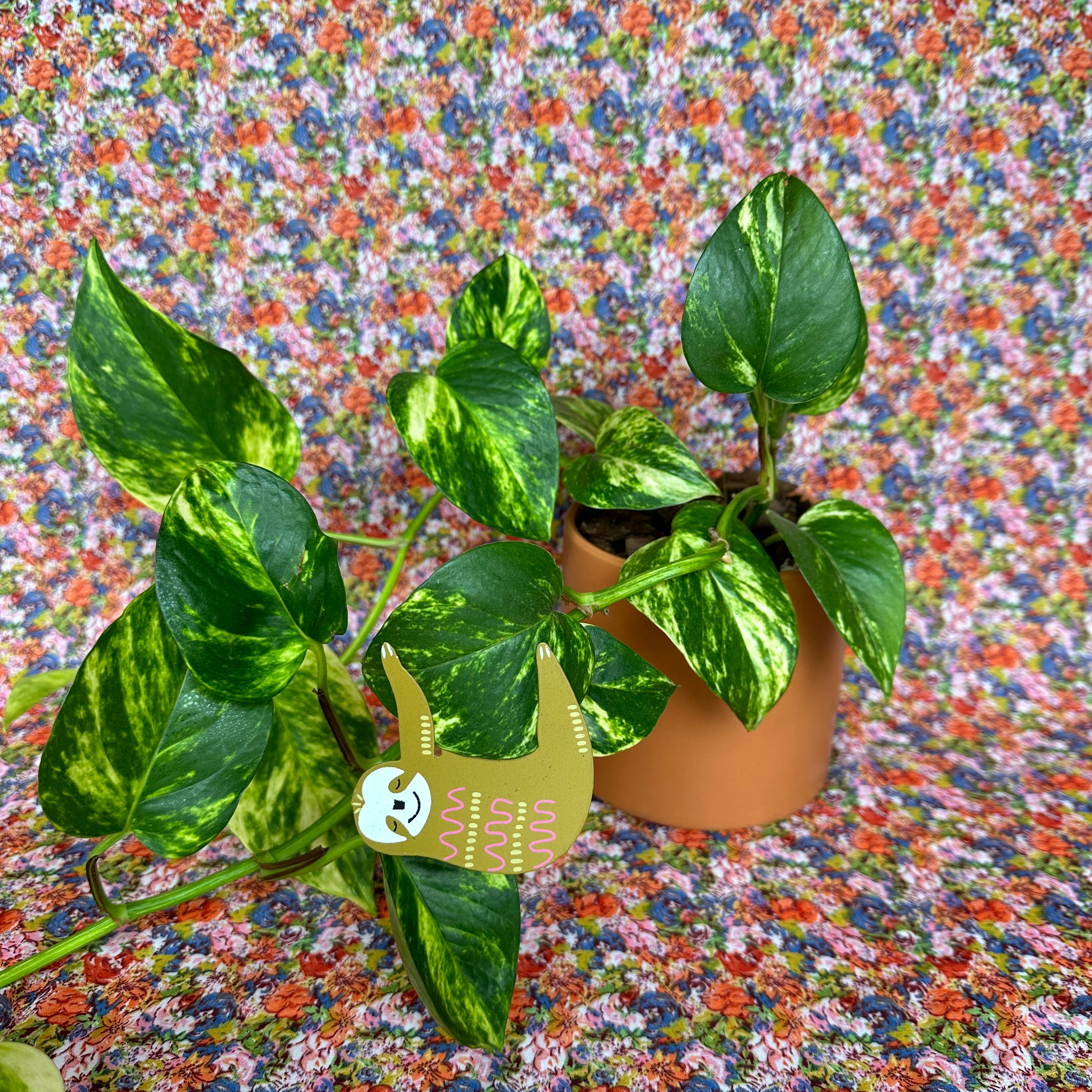 sloth plant pal plant stick from flower + furbish Shop now at flower + furbish