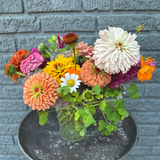 designer’s choice seasonal arrangement