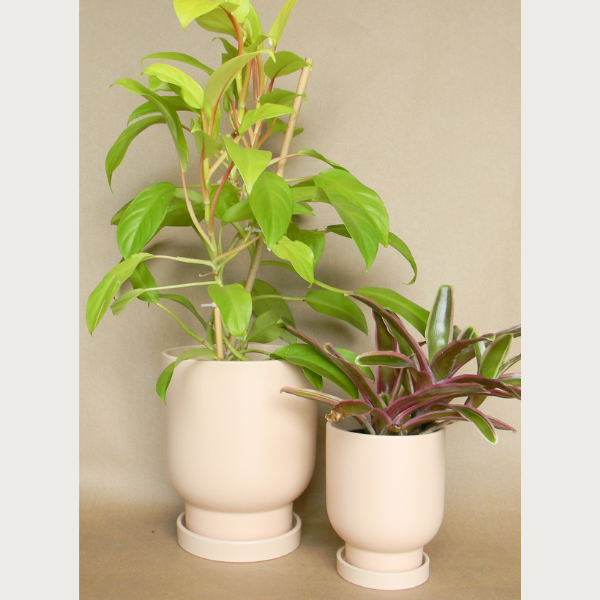 tarrytown pot with saucer shop now at flower + furbishGift, plant pot, Planter, Pot, shipping