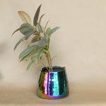 tegan pot shop now at flower + furbishplant, plant pot, Pot, shipping