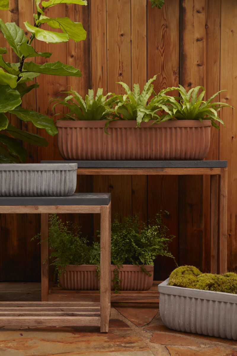 tyndall planter shop now at flower + furbishbasket, plant pot, Planter, Pot, shipping