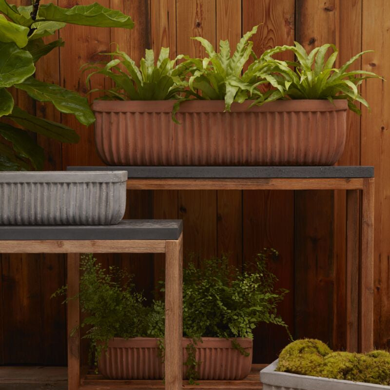 tyndall planter shop now at flower + furbishbasket, plant pot, Planter, Pot, shipping