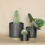 universe pot shop now at flower + furbish1 inch, 2 inch, 3 inch, 4 inch, gift, shipping