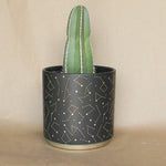 universe pot shop now at flower + furbish1 inch, 2 inch, 3 inch, 4 inch, gift, shipping