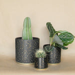universe pot shop now at flower + furbish1 inch, 2 inch, 3 inch, 4 inch, gift, shipping
