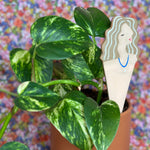 be you plant stick plant stick from flower + furbish Shop now at flower + furbish