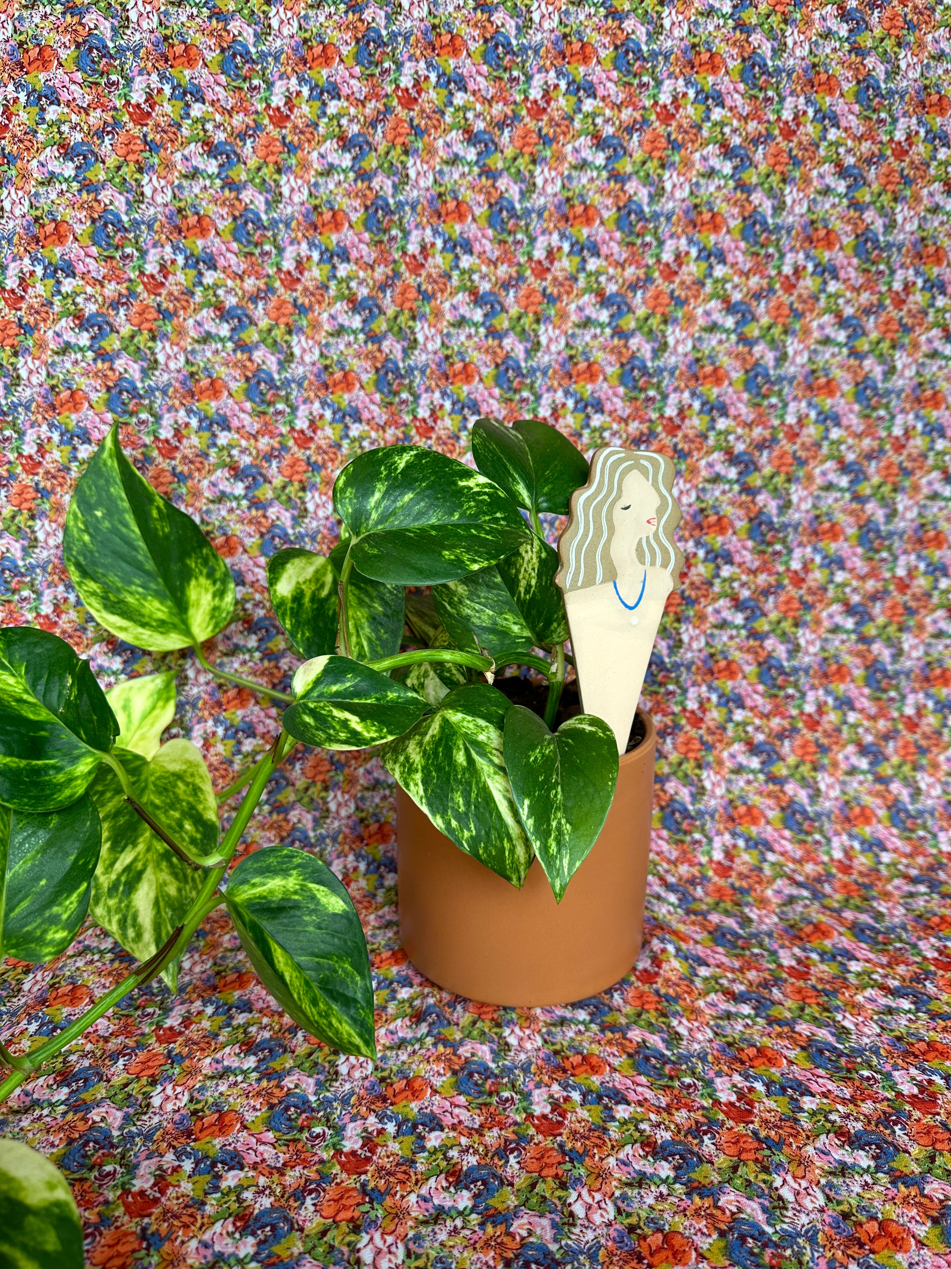 be you plant stick plant stick from flower + furbish Shop now at flower + furbish
