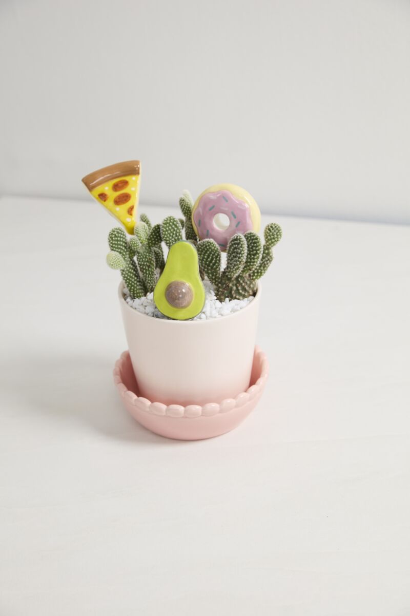 yummy plant stick shop now at flower + furbishcelebration, Gift, plant, Plant accessory, shipping, thank you