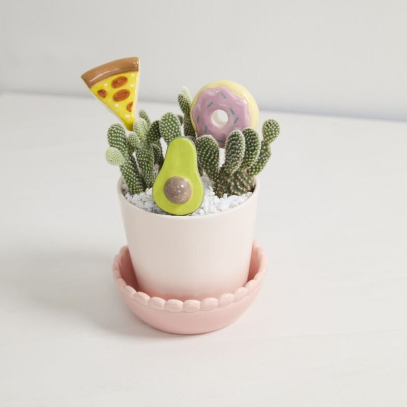 yummy plant stick shop now at flower + furbishcelebration, Gift, plant, Plant accessory, shipping, thank you
